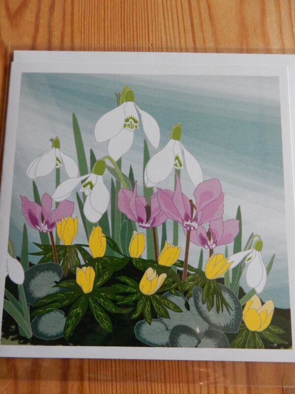 Doppelkarte 'Schneeglöckchen, Eranthis und Cyclamen'