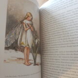 Buch: Snowdrop von Gail Harland – Bild 2