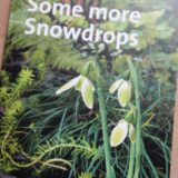 Some more Snowdrops - Buch von Anne Repnow
