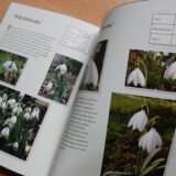 Some more Snowdrops - Buch von Anne Repnow – Bild 3
