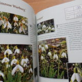 Some more Snowdrops - Buch von Anne Repnow – Bild 5