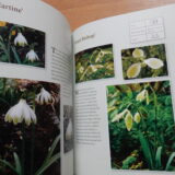 Some more Snowdrops - Buch von Anne Repnow – Bild 6