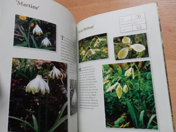 Some more Snowdrops - Buch von Anne Repnow – Bild 6