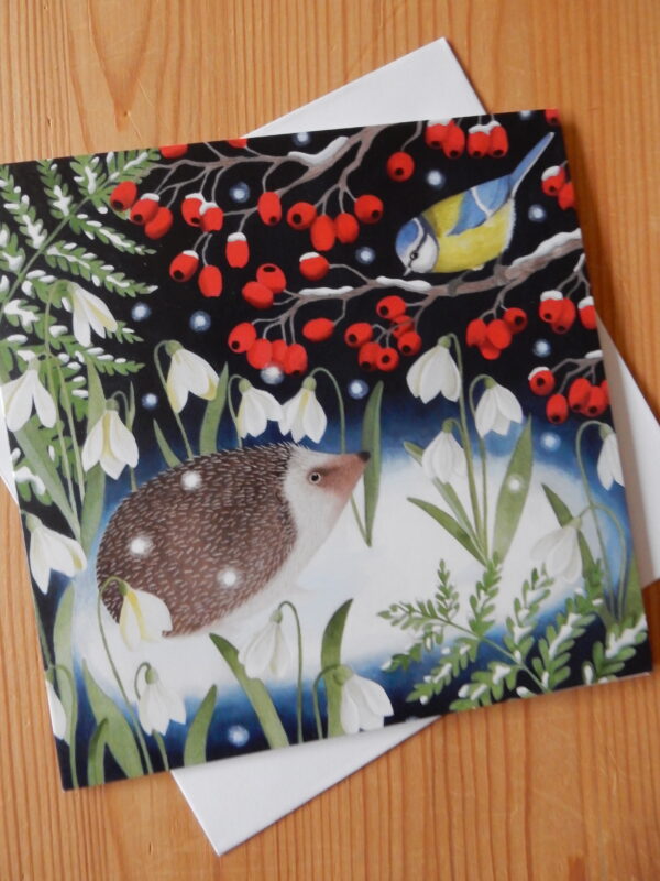Doppelkarte: Igel und Blaumeise mit Schneeglöggli