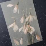 Postkarte 'Galanthus' auf grauem Grund