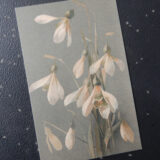 Geschenkkarte 'Galanthus' auf grauem Grund