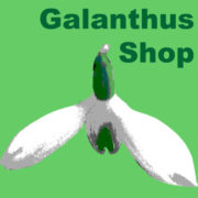 (c) Galanthus.shop